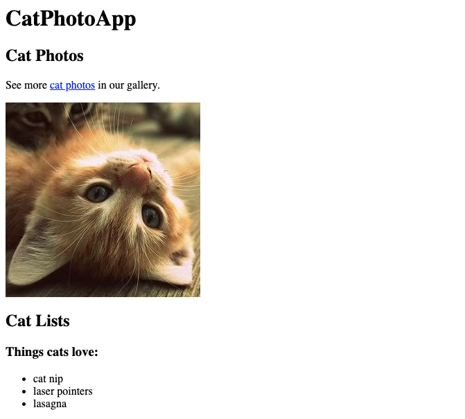 cat-app-1-img